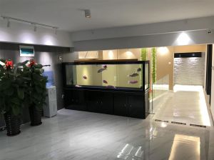 二樓中庭區(qū)